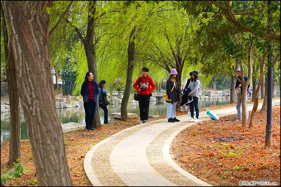【春天，广西桂林灌阳县向您发出邀请！】江口老街又逢春 - 游山玩水 - 克拉玛依生活社区 - 克拉玛依28生活网 klmy.28life.com