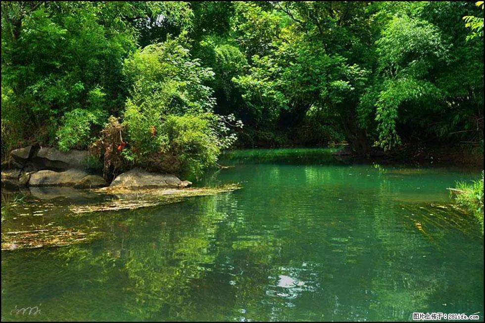 【春天,广西桂林灌阳县向您发出邀请!】如梦似幻莲溪庐 - 游山玩水 - 克拉玛依生活社区 - 克拉玛依28生活网 klmy.28life.com