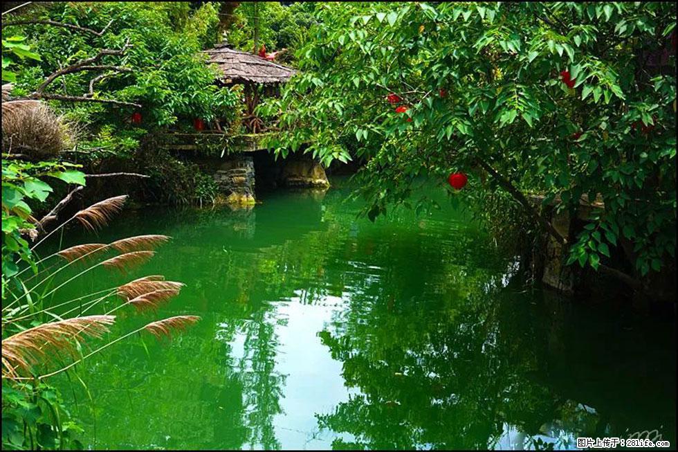 【春天,广西桂林灌阳县向您发出邀请!】如梦似幻莲溪庐 - 游山玩水 - 克拉玛依生活社区 - 克拉玛依28生活网 klmy.28life.com