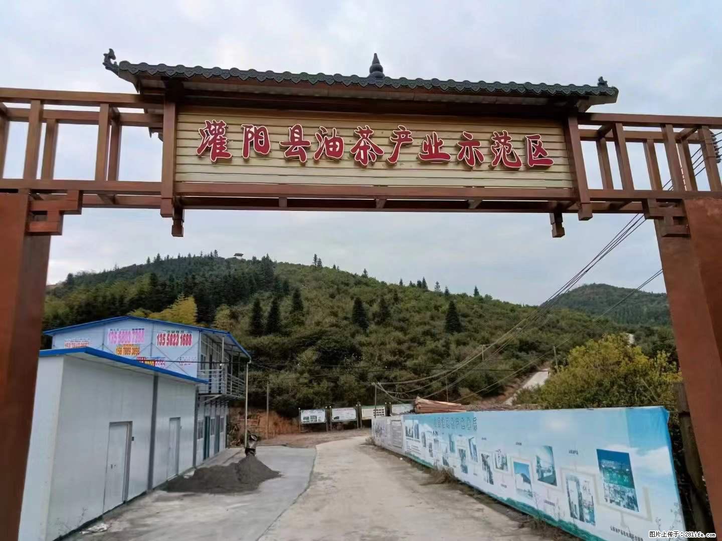 【灌阳县油茶产业示范区】一个有着充实的精神生活的人,对待身外之物自会有一种淡泊的态度 - 美食天地 - 克拉玛依生活社区 - 克拉玛依28生活网 klmy.28life.com
