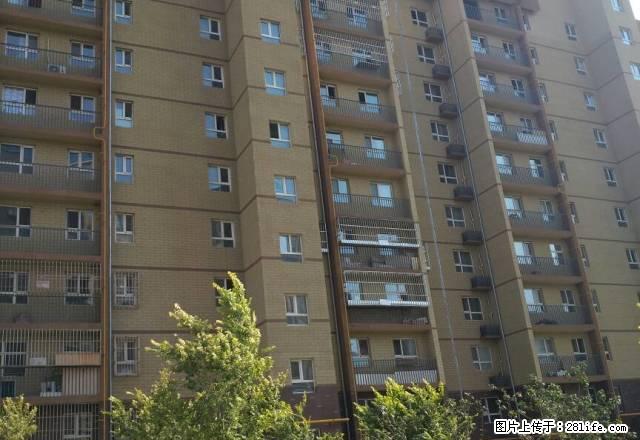 祥和苑八楼三室两厅毛坯低价出租 - 房屋出租 - 房屋租售 - 克拉玛依分类信息 - 克拉玛依28生活网 klmy.28life.com