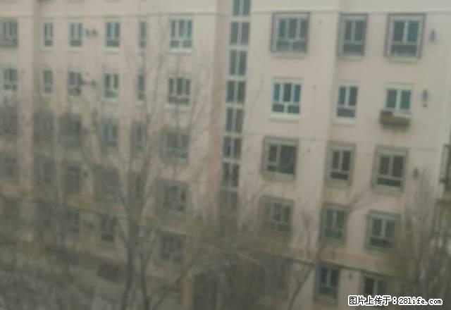 天池北婚房 出租两室两厅包暖气物业 - 房屋出租 - 房屋租售 - 克拉玛依分类信息 - 克拉玛依28生活网 klmy.28life.com