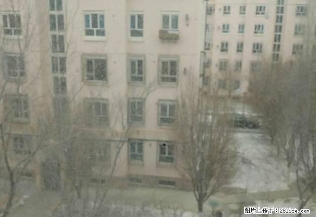 前进四楼两室一厅包暖气物业 - 房屋出租 - 房屋租售 - 克拉玛依分类信息 - 克拉玛依28生活网 klmy.28life.com