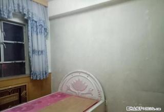 永安小区 4楼 简装 拎包入住 2室一厅 包暖气物业 - 克拉玛依28生活网 klmy.28life.com