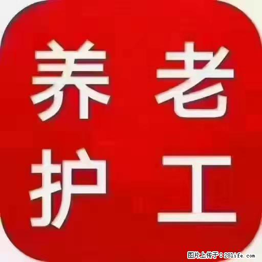 上海国企养老院，星级酒店环境，招聘养老护工 - 职场交流 - 克拉玛依生活社区 - 克拉玛依28生活网 klmy.28life.com