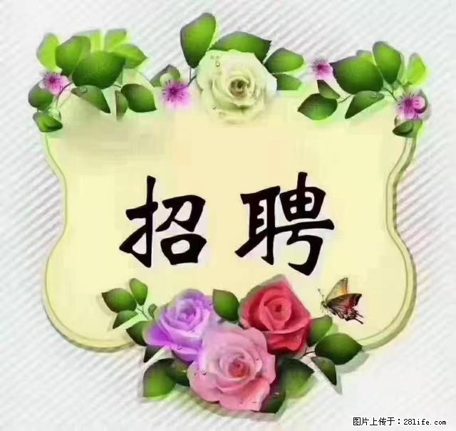 【招聘】住家育儿嫂,上户日期:4月4日,工作地址:上海 黄浦区 - 其他招聘信息 - 招聘求职 - 克拉玛依分类信息 - 克拉玛依28生活网 klmy.28life.com
