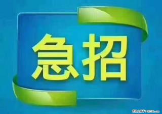 招出纳8000元/月，无证可以，要有相关经验，上海五险一金，包住，包工作餐，做六休一。 - 克拉玛依28生活网 klmy.28life.com