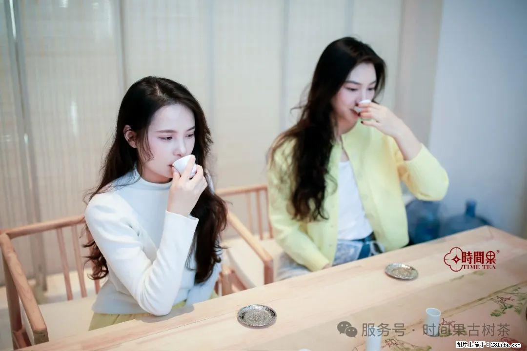 时间果百年古树龙珠普洱生茶 - 购物交流 - 克拉玛依生活社区 - 克拉玛依28生活网 klmy.28life.com