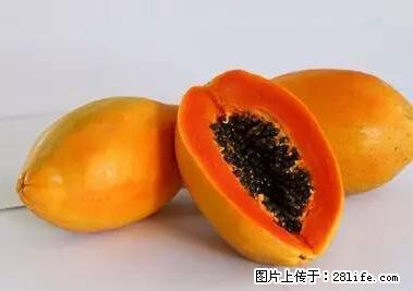 晕车、脚气、牙齿变黄、皮肤粗糙?学会这些三分钟搞定! - 克拉玛依生活资讯 - 克拉玛依28生活网 klmy.28life.com