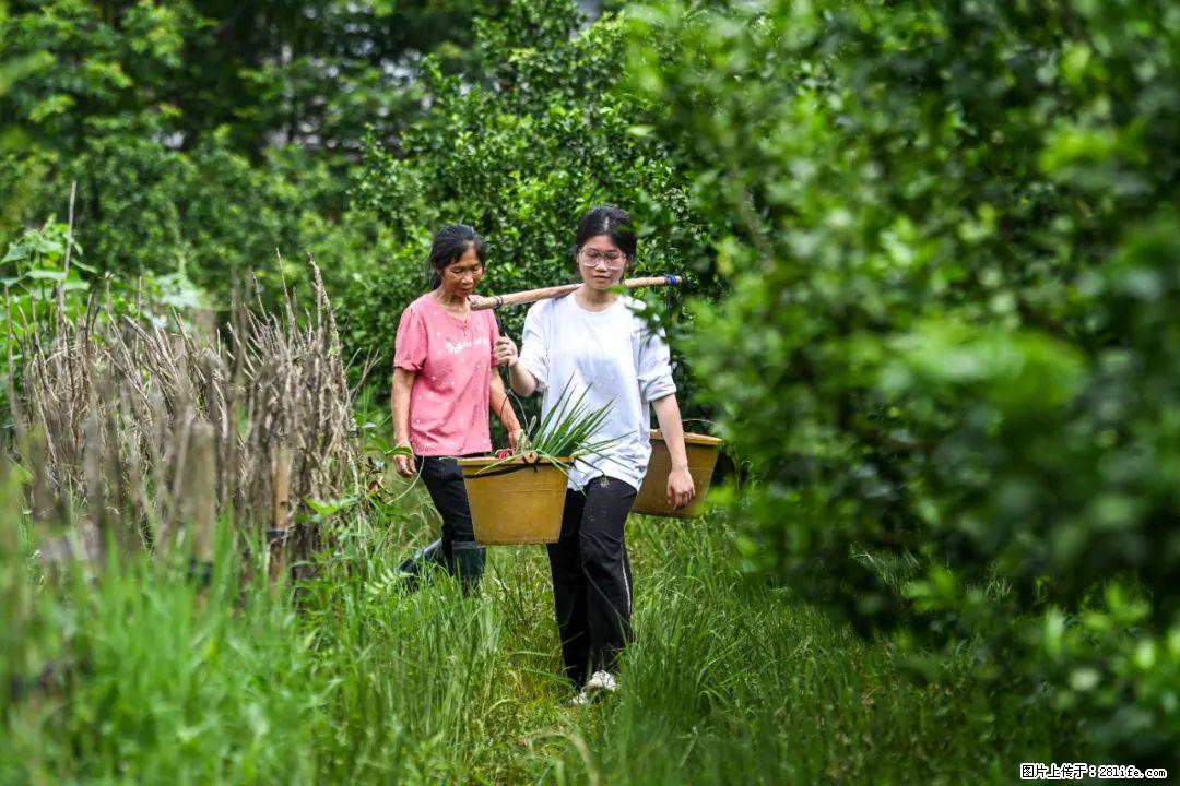 全网追的“扁担女孩”,找了一份暑假工,时薪12元 - 克拉玛依生活资讯 - 克拉玛依28生活网 klmy.28life.com