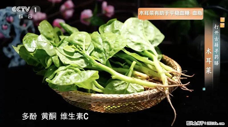 比牛奶补钙还厉害!凉血解毒、稳血糖...这菜冬天必吃,很多人却当草 - 克拉玛依生活资讯 - 克拉玛依28生活网 klmy.28life.com