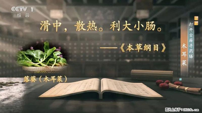 比牛奶补钙还厉害!凉血解毒、稳血糖...这菜冬天必吃,很多人却当草 - 克拉玛依生活资讯 - 克拉玛依28生活网 klmy.28life.com