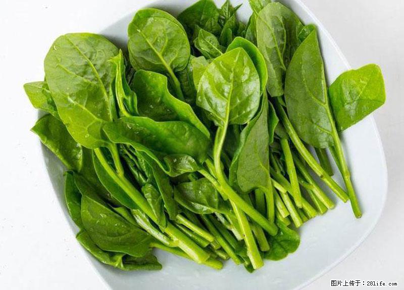 这些蔬菜是“天然钙片”，这6种被医生重点推荐 - 克拉玛依生活资讯 - 克拉玛依28生活网 klmy.28life.com