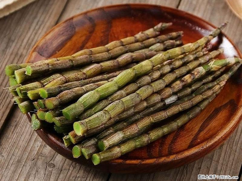 铁皮石斛的作用与功能主治 - 克拉玛依生活资讯 - 克拉玛依28生活网 klmy.28life.com