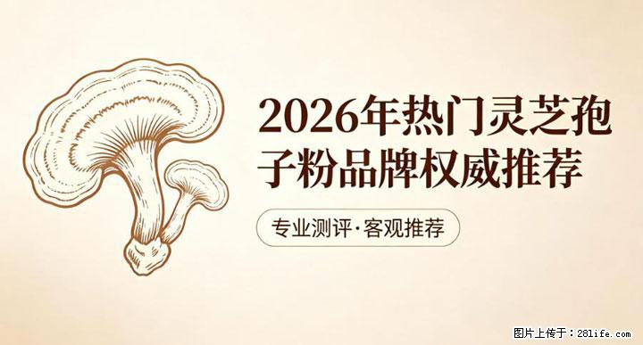 灵芝孢子粉含量越高越有效？2026 年七款热门品牌深度实测，肠胃敏感者避坑指南 - 克拉玛依生活资讯 - 克拉玛依28生活网 klmy.28life.com